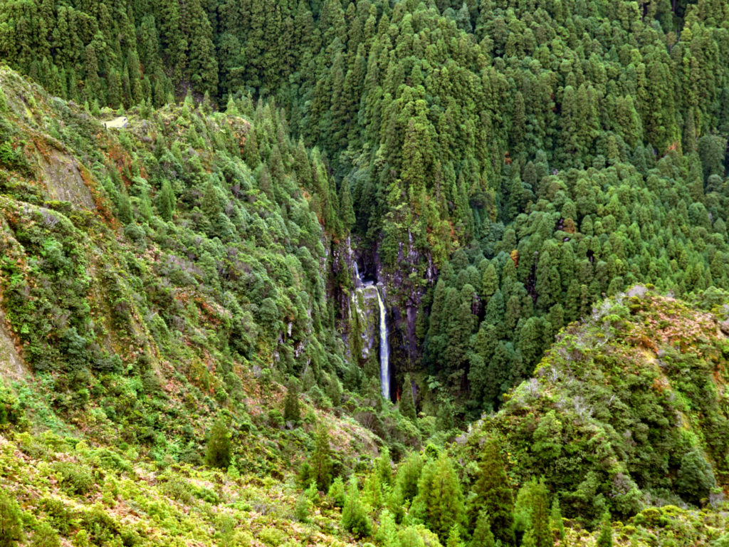 Auf dem Weg zur alten Mineralwasserquelle
