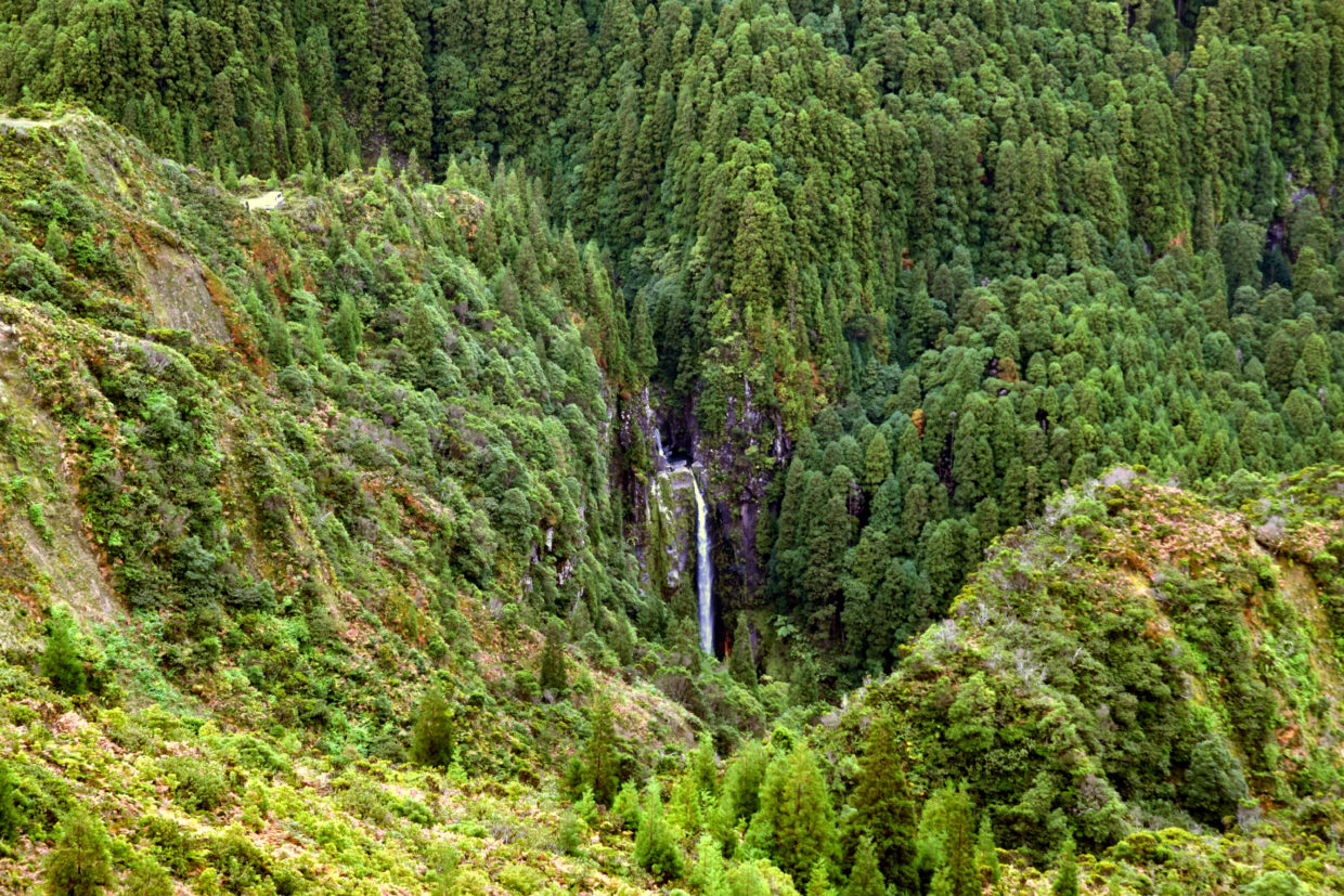 En route vers l'ancienne source d'eau minérale