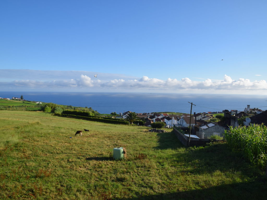 Vue depuis la véranda Vue depuis la véranda
