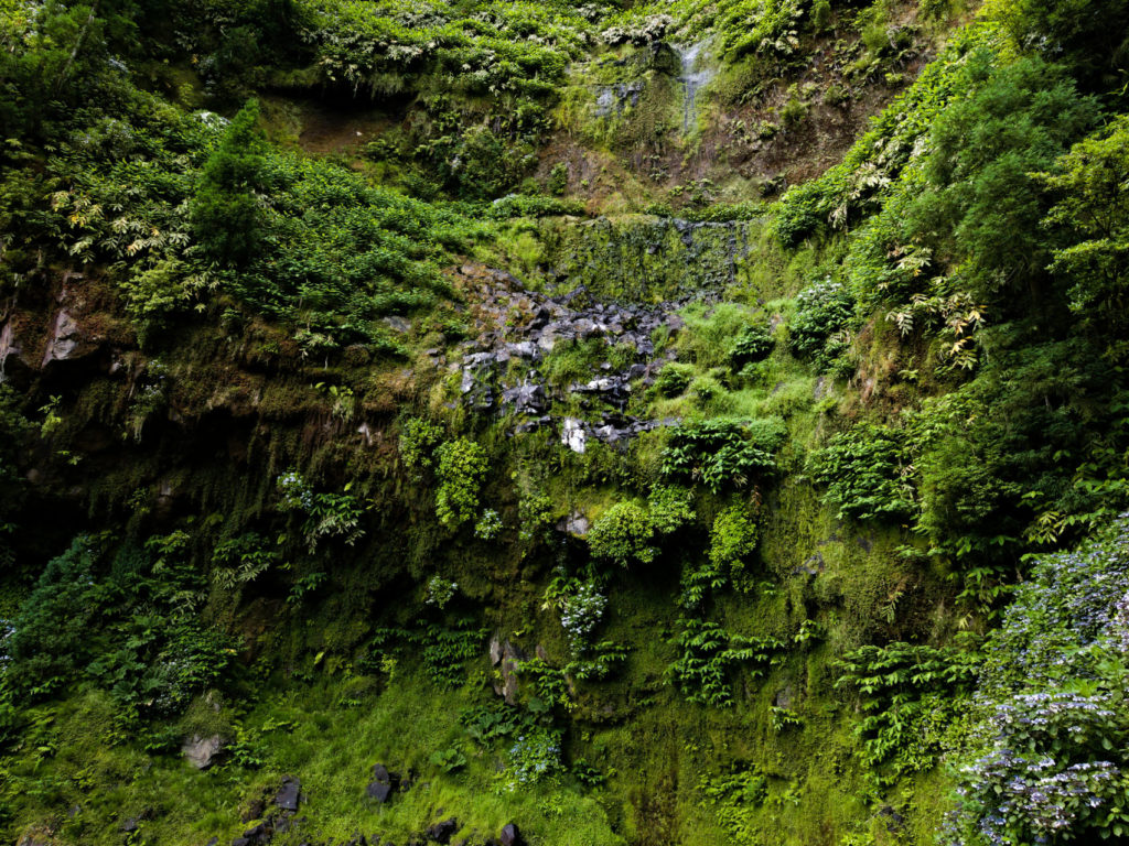 Parque da Grená - Salto da Inglesa
