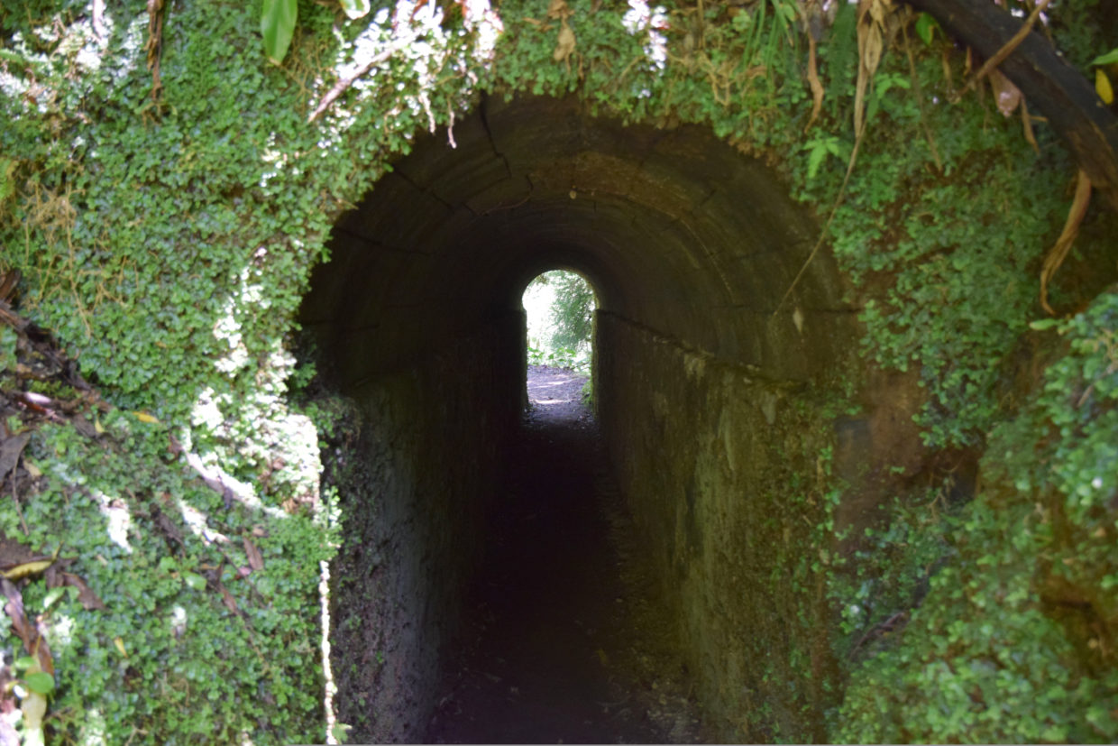 Tunnel en direction de Janela do Inferno