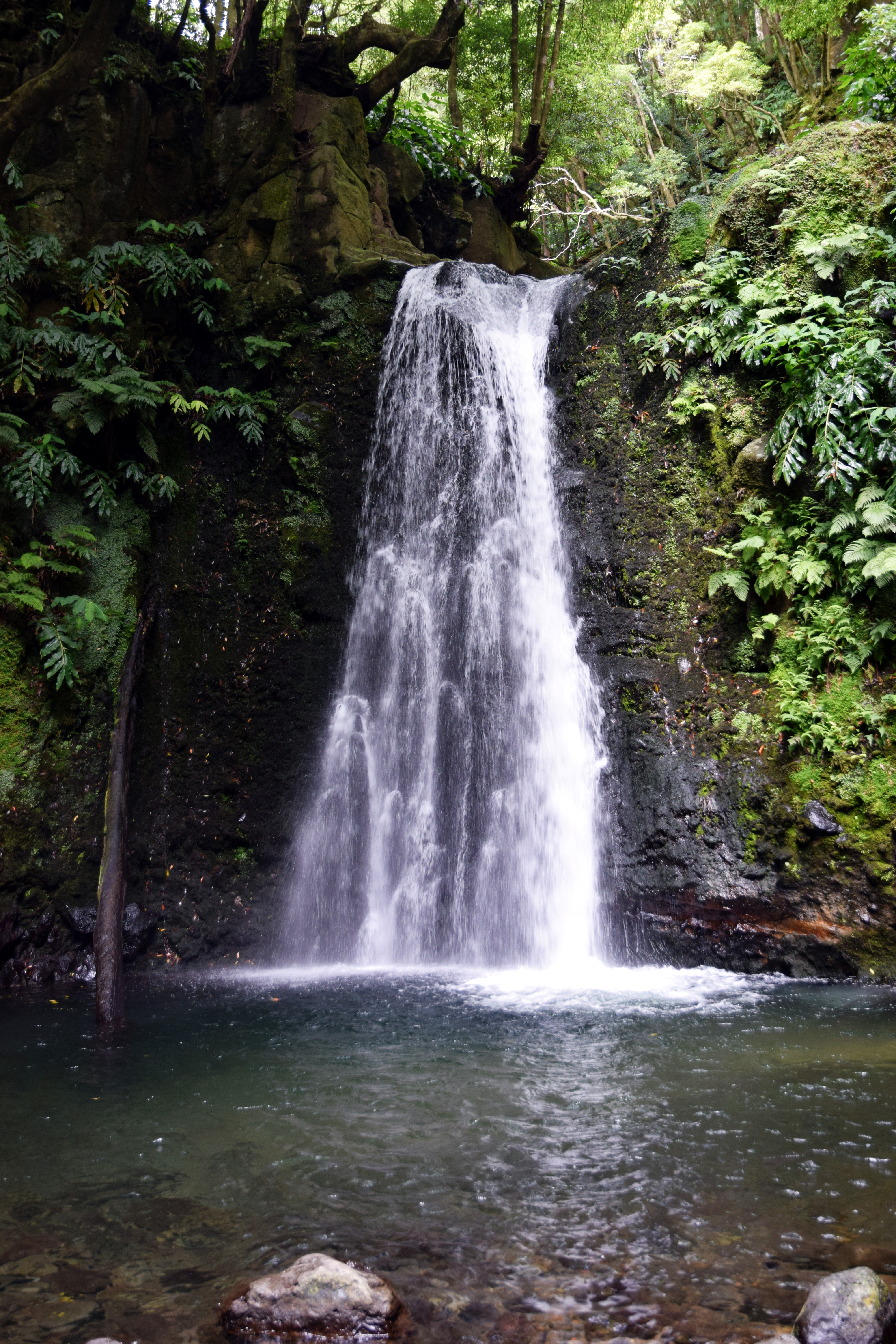 As mais belas cascatas (e os seus guardiões) - Os Açores - São Miguel