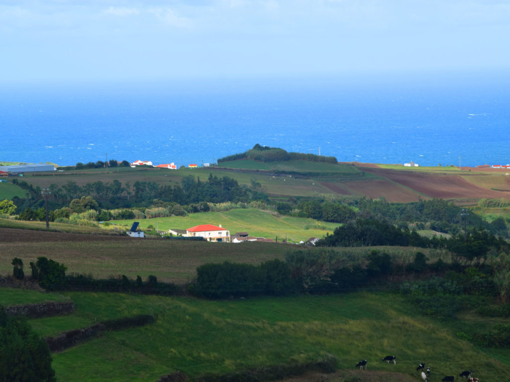 From a distance Casa dos cinco sentidos from a distance