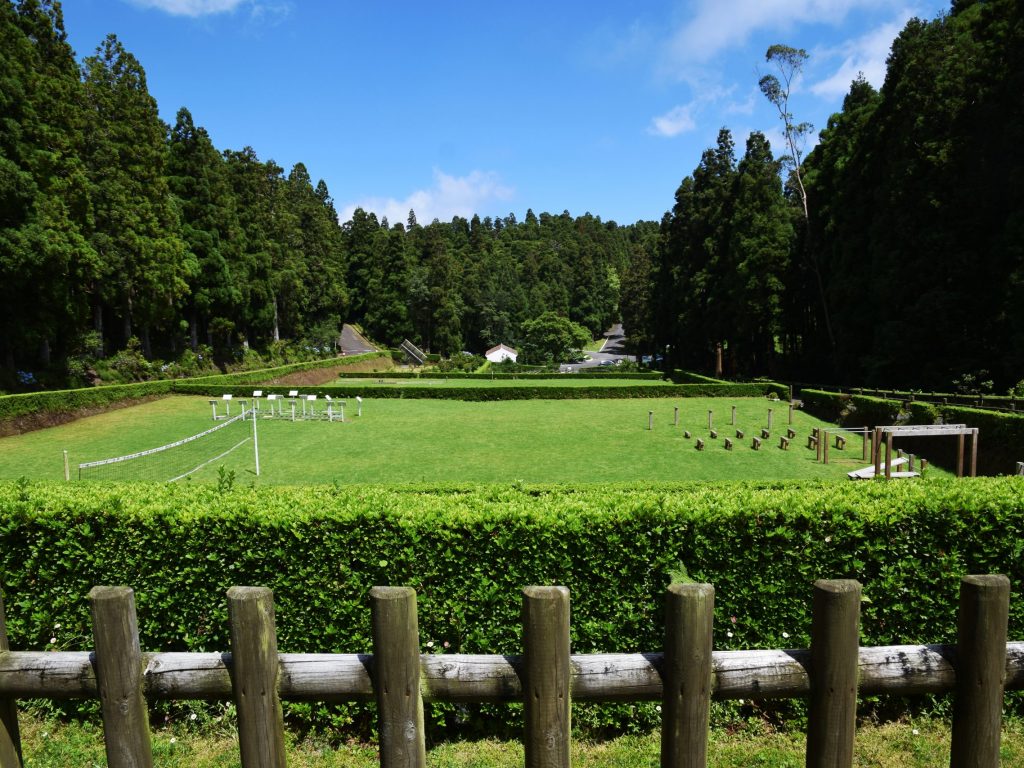 Reserva Florestal de Recreio da Cancela do Cinzeiro Reserva Florestal de Recreio da Cancela do Cinzeiro