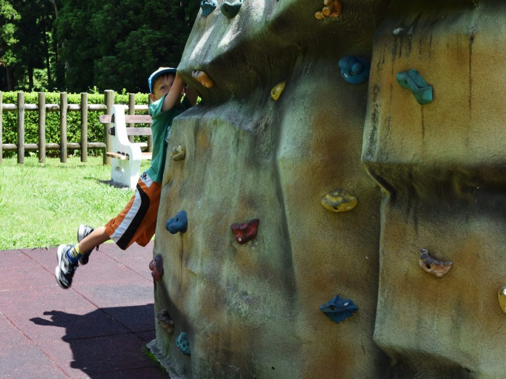 Reserva Florestal de Recreio da Cancela do Cinzeiro Reserva Florestal de Recreio da Cancela do Cinzeiro