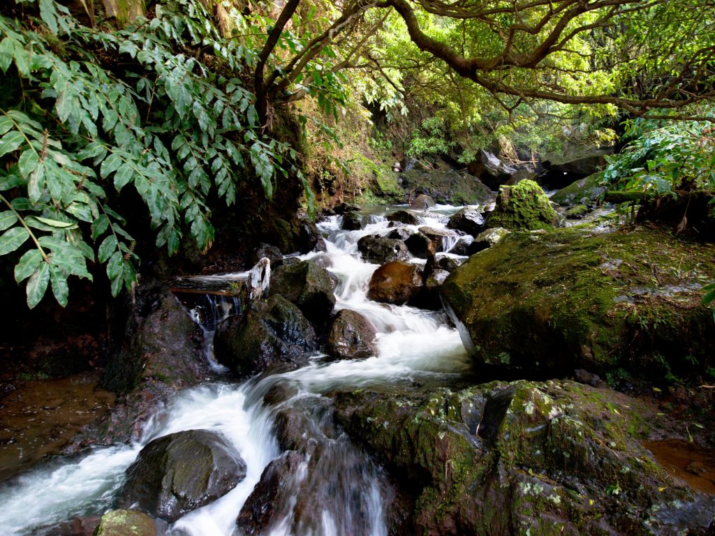 Rio junto ao Salto da Farinha Rio a partir do caminho para o Salto da Farinha