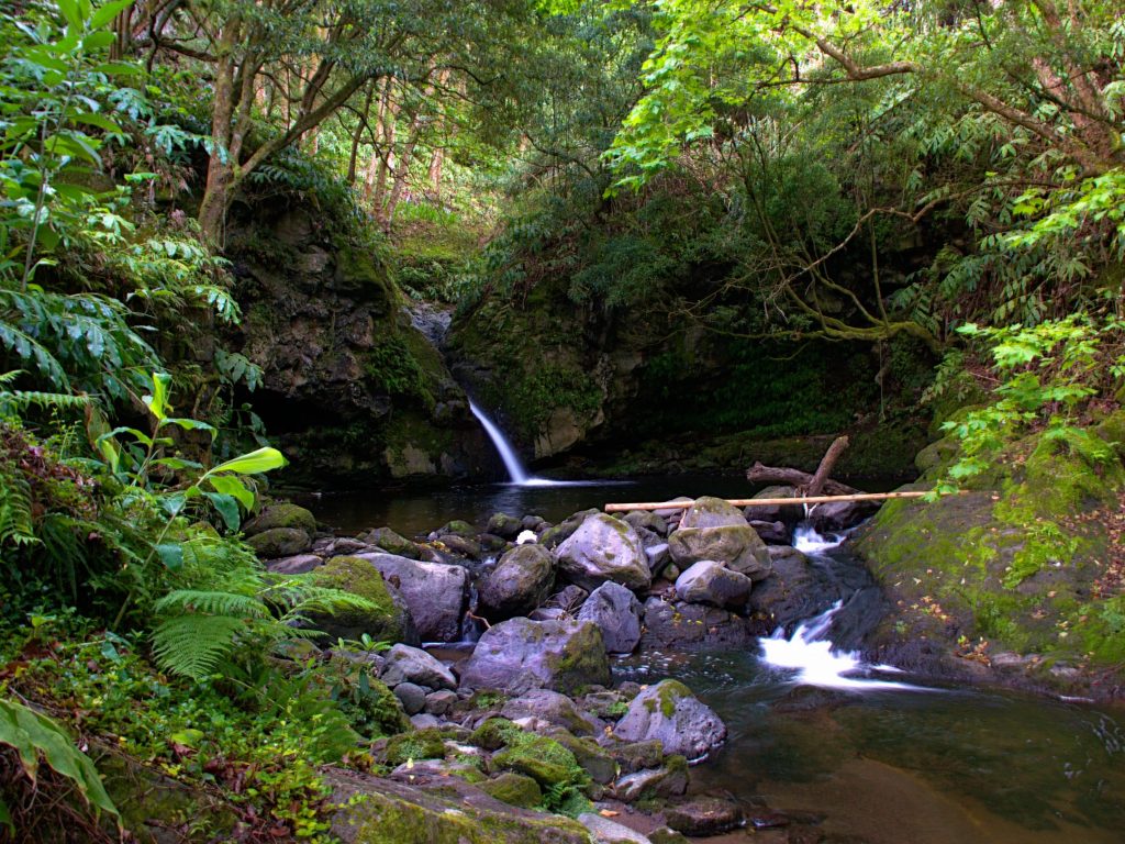 Au Moinho do Crim, la rivière coule par petites cascades vers l'océan Atlantique. Au Moinho do Crim, la rivière coule par petites cascades vers l'océan Atlantique.