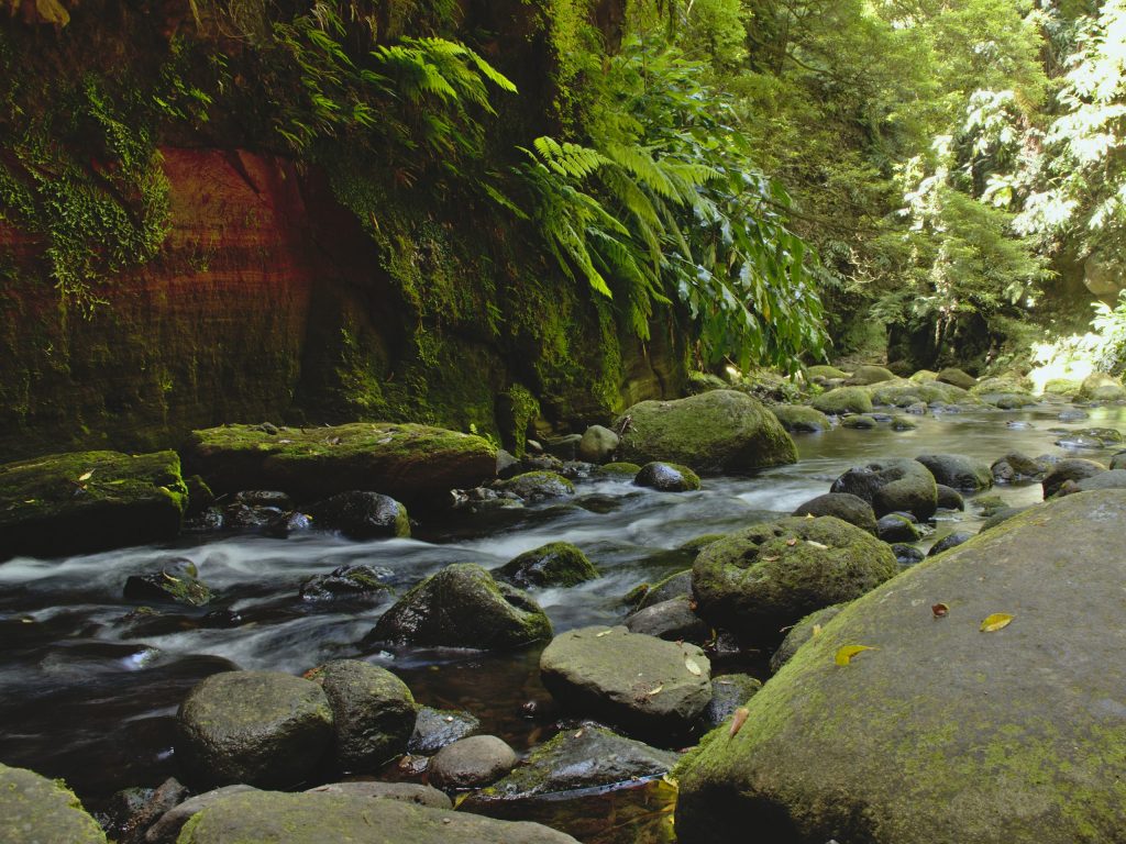 River at Salto do Cagarrão River at Salto do Cagarrão towards Salto do Prego