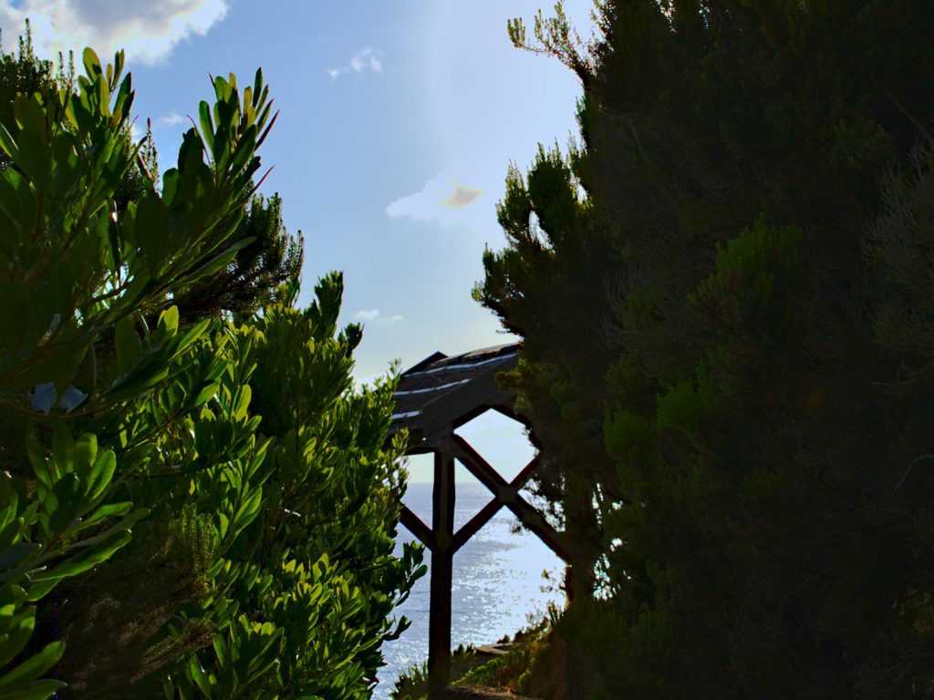 Zona de piquenique no Miradouro do Parque Endémico do Pelado Zona de piquenique no Miradouro do Parque Endémico do Pelado, ao nascer do sol.