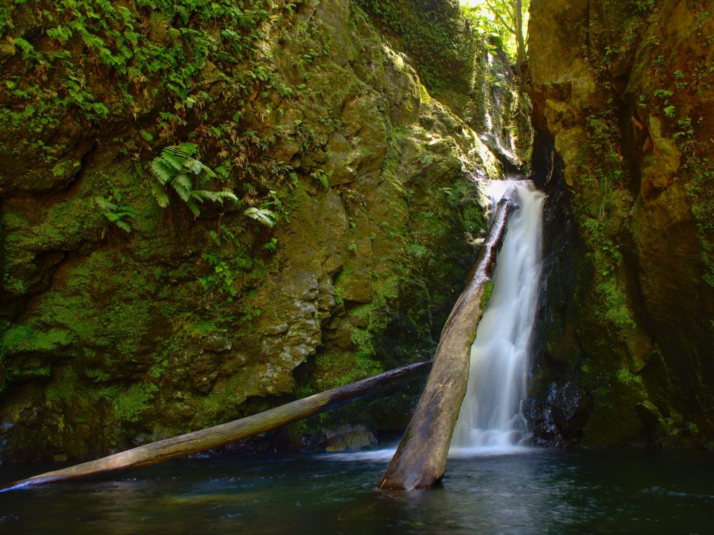 The most beautiful waterfalls (and their guardians) - São Miguel