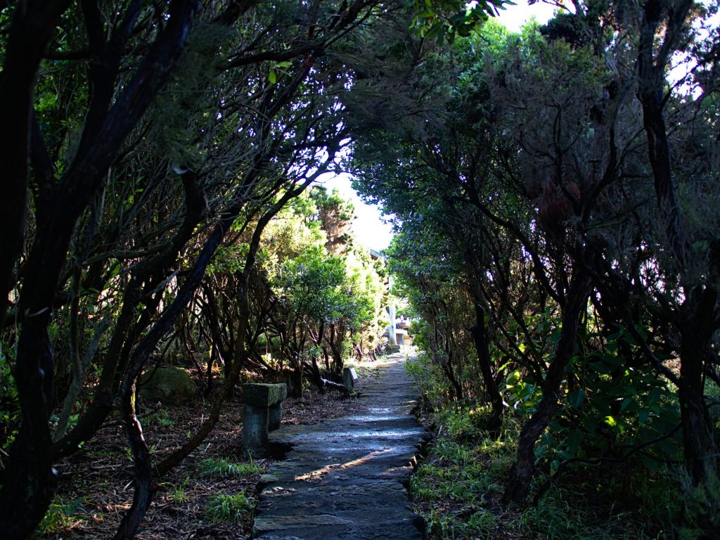 Caminho no Miradouro do Parque Endémico do Pelado durante o pôr do sol Caminho no Miradouro do Parque Endémico do Pelado durante o pôr do sol.