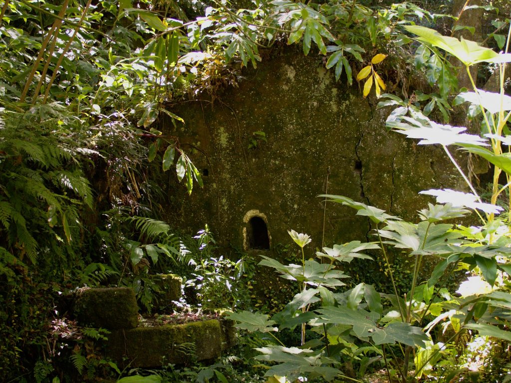 Ruine d'un moulin à eau envahie par la végétation. Ruine d'un moulin à eau envahie par la végétation.