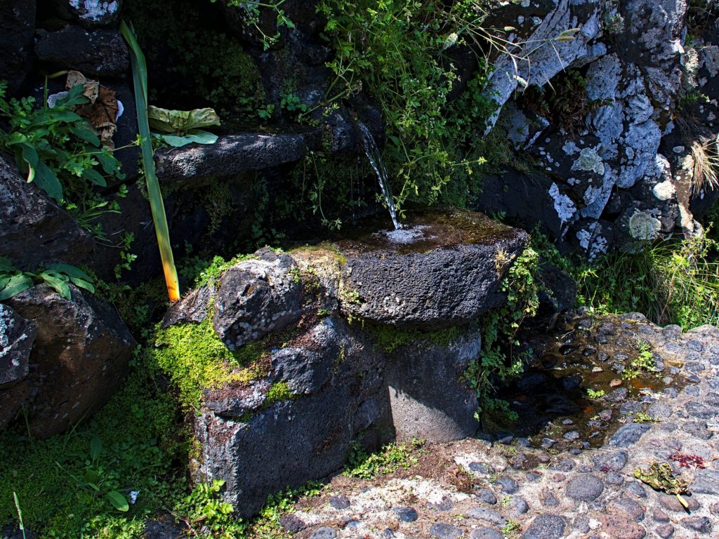 Meule du moulin de Praia da Viola Meule du moulin de Praia da Viola