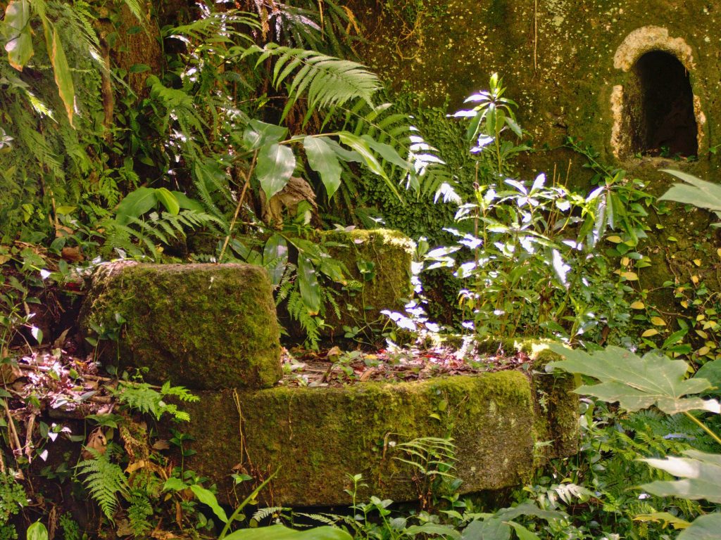 Meules des Moinhos da Ribeira Funda Ancienne meule de moulin envahie par la mousse