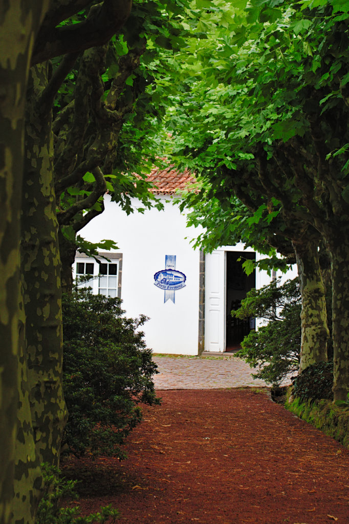 Path to the tea plantation "Chá Porto Formoso"