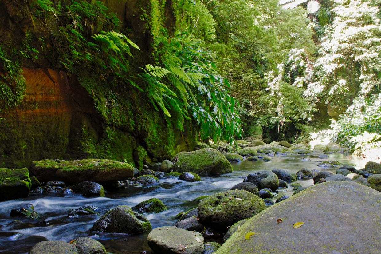 Flusslauf am Salto do Cagarrão in Richtung Salto do Prego