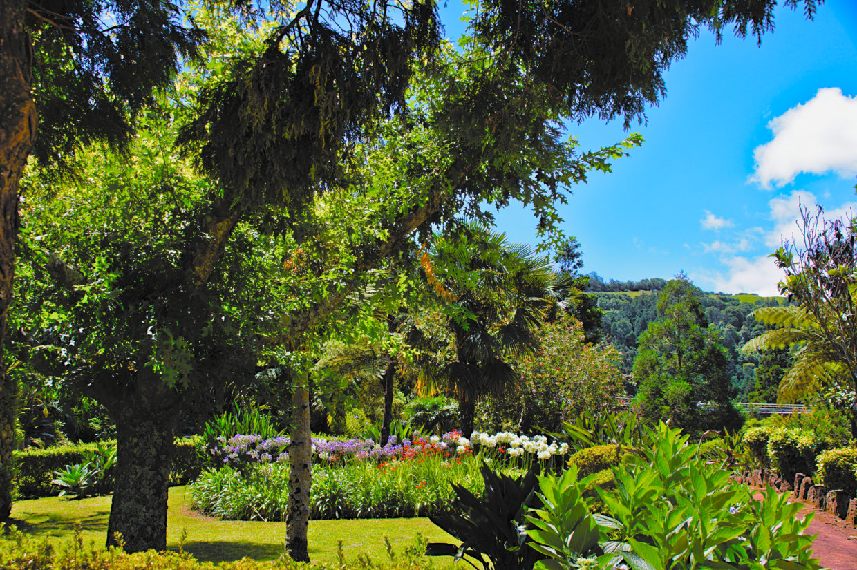 Jardim da Ribeira do Guilherme