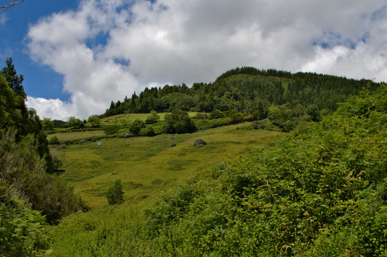 Weg zwischen dem Salto do Cagarrão und dem Salto do Prego mit Blick auf die Hänge