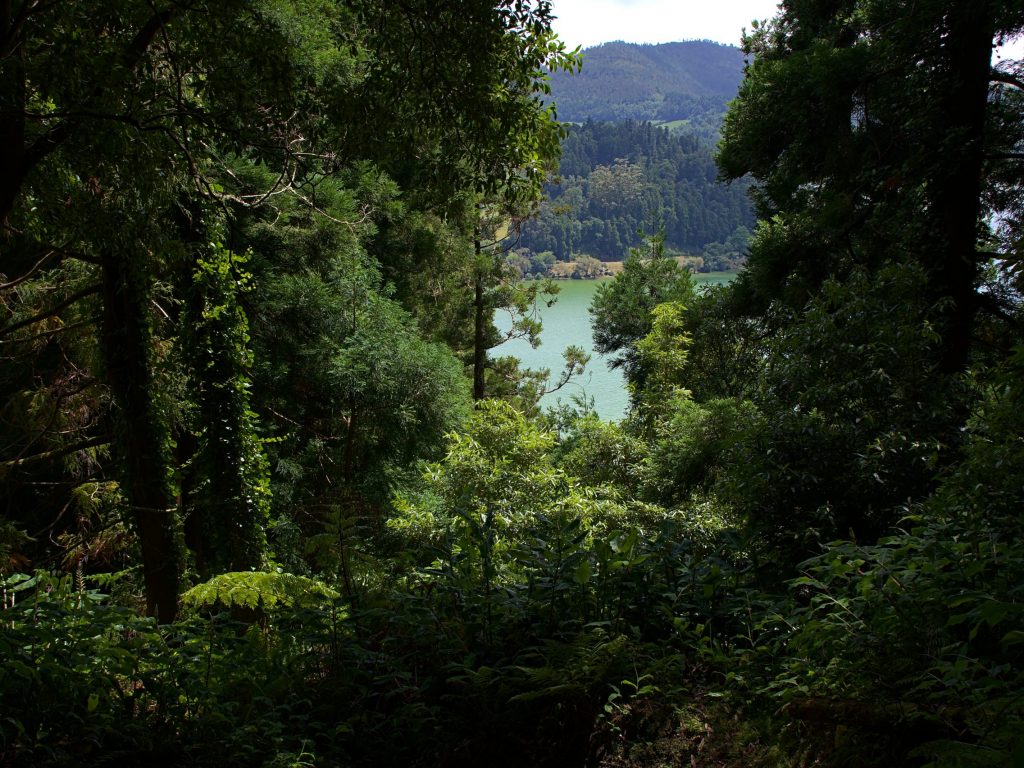 Blick auf den Lagoa das Furnas vom Wanderweg aus Blick auf den Lagoa das Furnas vom Wanderweg aus