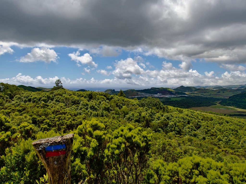 Blick auf die kleineren Krater vom dicht mit Erika bewachsenen Pico Queimado Blick auf die kleineren Krater vom dicht mit Erika bewachsenen Pico Queimado