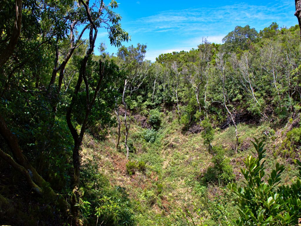 Im Krater des Pico Queimado Im Krater des Pico Queimado