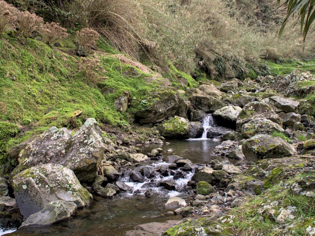 Leito da Ribeira do Cachaço Leito da Ribeira do Cachaço