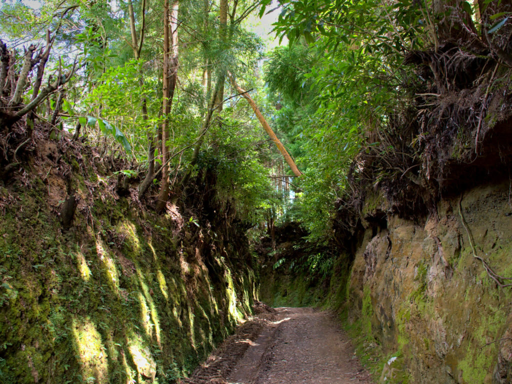 Rückweg vom Lagoa do Fogo nach Praia Rückweg auf dem Wanderweg vom Lagoa do Fogo nach Praia