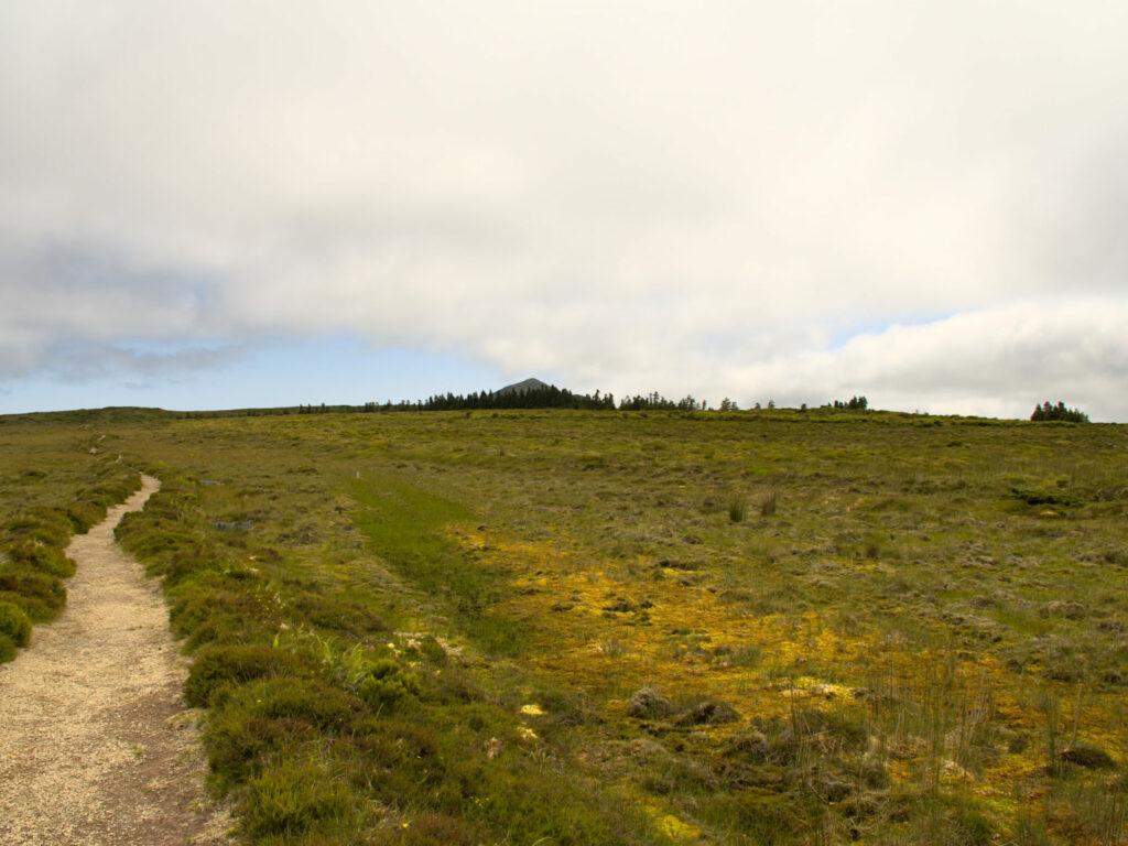 Wanderweg zum Pico da Vara Wanderweg zum Pico da Vara