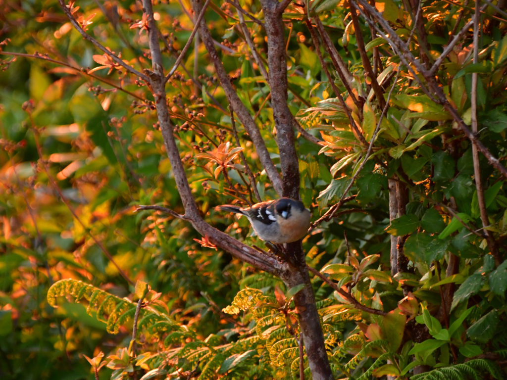 Zuschauer beim Sonnenuntergang am Salto do Cavalo Zuschauer beim Sonnenuntergang am Salto do Cavalo