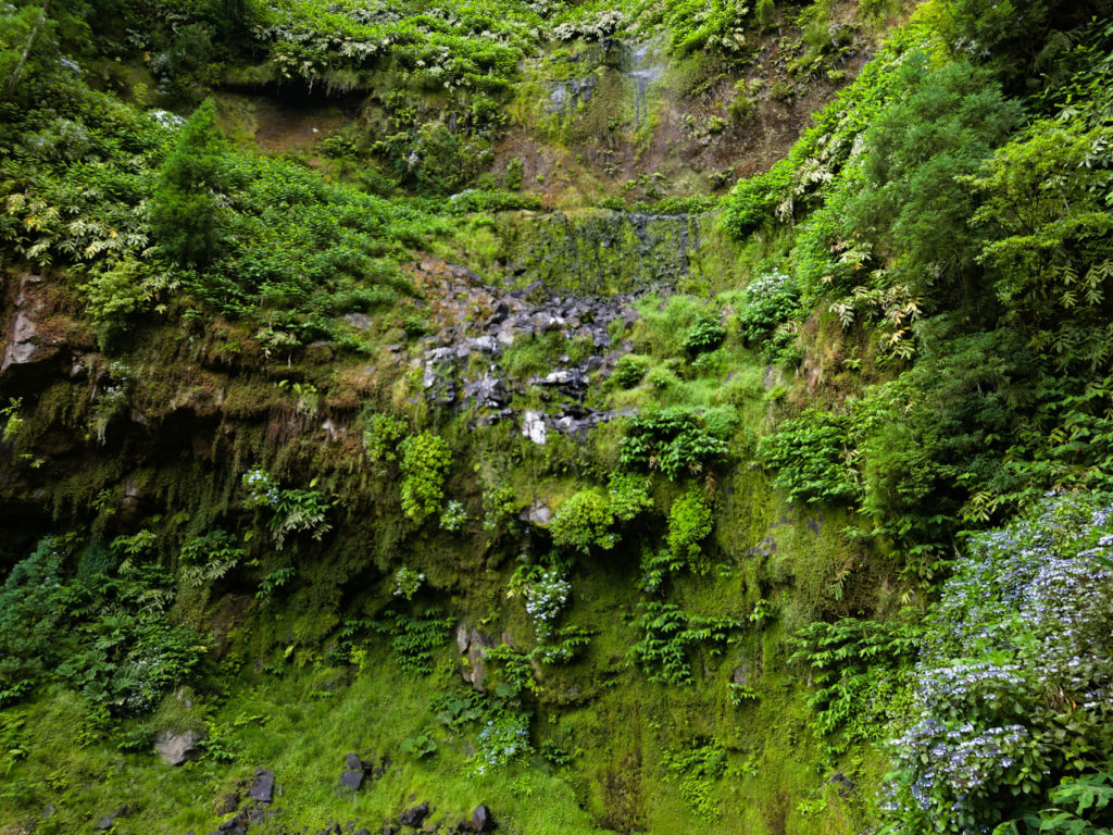 Parque da Grená - Salto da Inglesa Parque da Grená - Salto da Inglesa