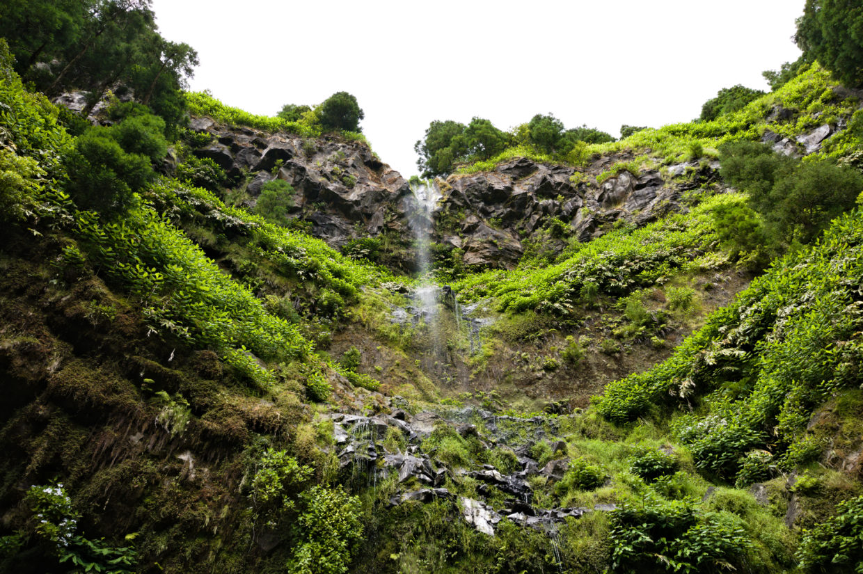 Parque da Grená - Salto da Inglesa vista de baixo