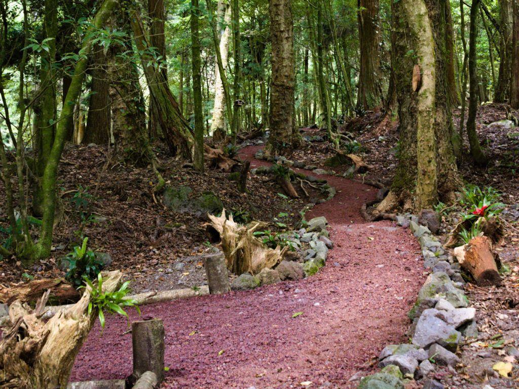 Parque da Grená - Trilho para caminhadas Parque da Grená - Trilho para caminhadas