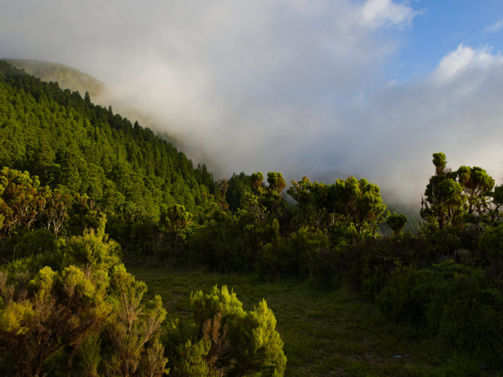 Berghänge vom Miradouro Tronqueira aus im Sonnenuntergang Berghänge vom Miradouro Tronqueira aus im Sonnenuntergang
