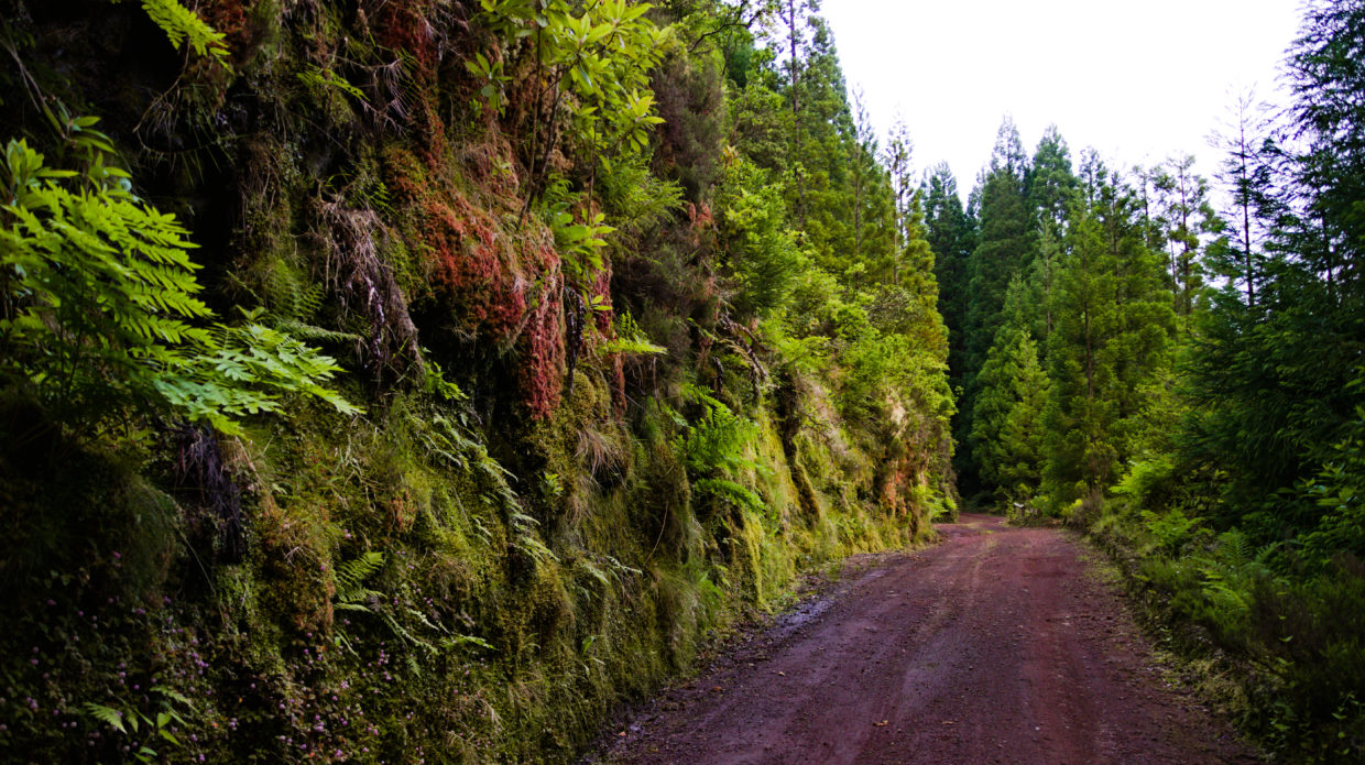 Der einspurige Weg der Rota da Tronqueira