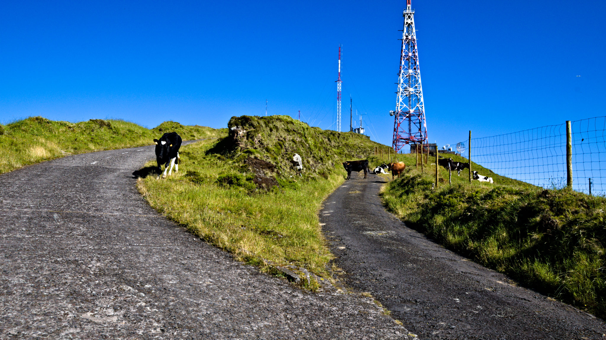 Pico da Barrosa São Miguel is at your feet
