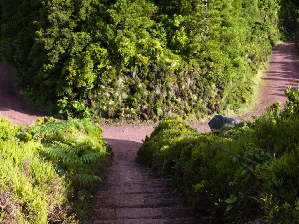 Straßenverlauf am Miradouro Tronqueira Straßenverlauf am Miradouro Tronqueira
