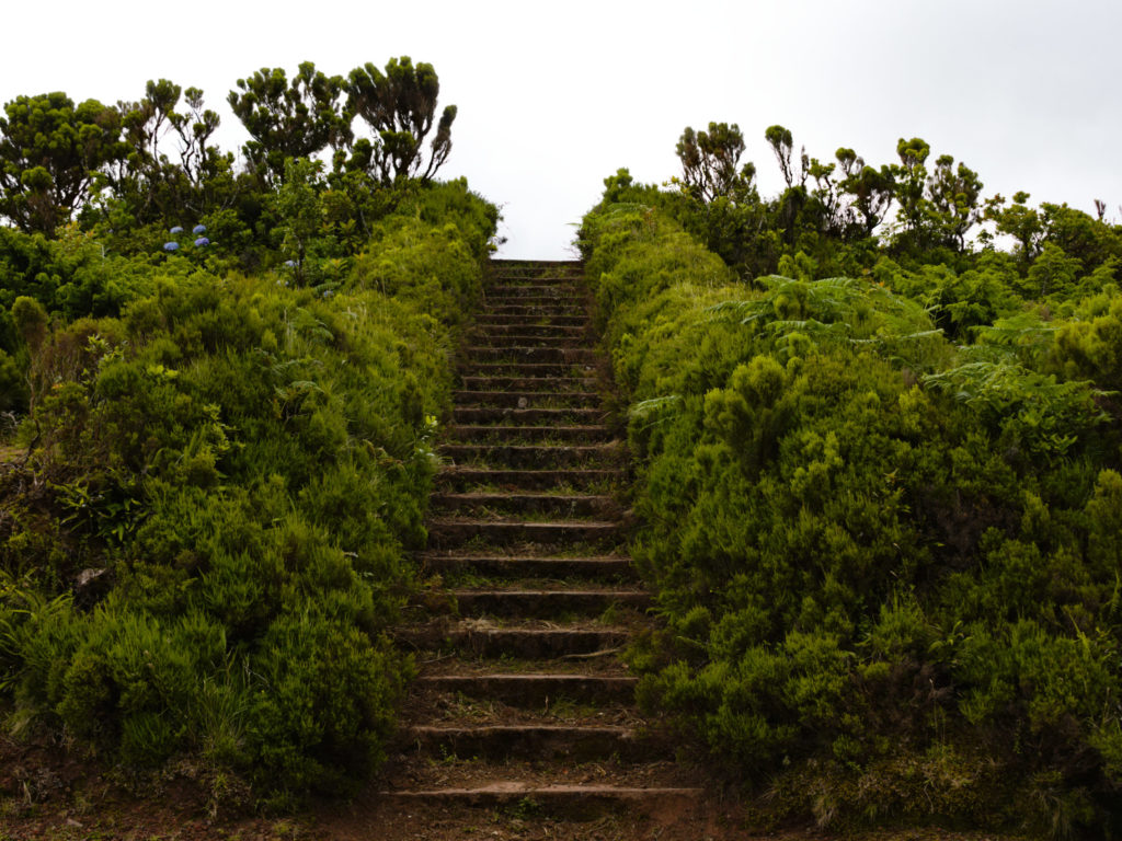 Weg hinauf zum Miradouro Tronqueira Weg hinauf zum Miradouro Tronqueira