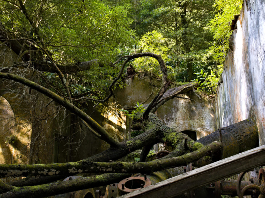 Turbine house of the Fábrica da Cidade firmly in the grip of nature Turbine house of the Fábrica da Cidade firmly in the grip of nature