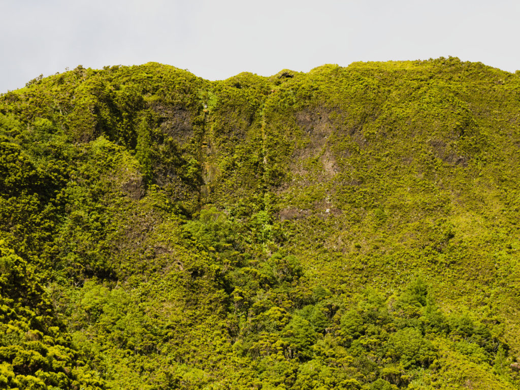 Pics densément recouverts de forêts à Lagoa do Fogo Pics densément recouverts de forêts à Lagoa do Fogo