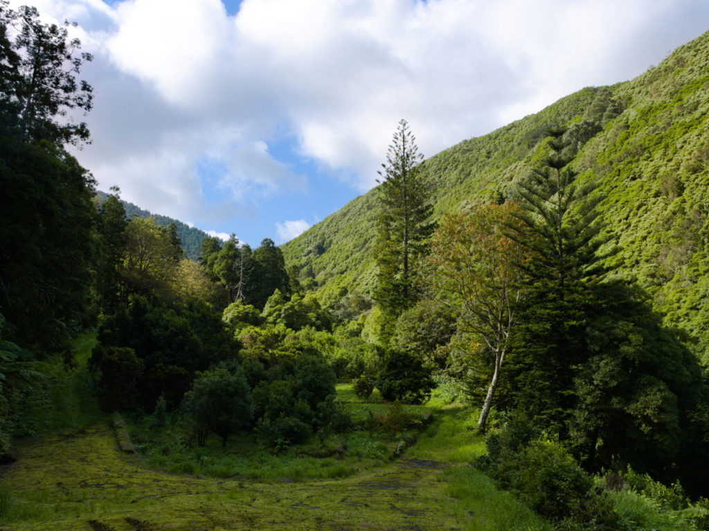 Ehemaliges Gelände der Fajã do Rodrigo Ehemaliges Gelände der Fajã do Rodrigo