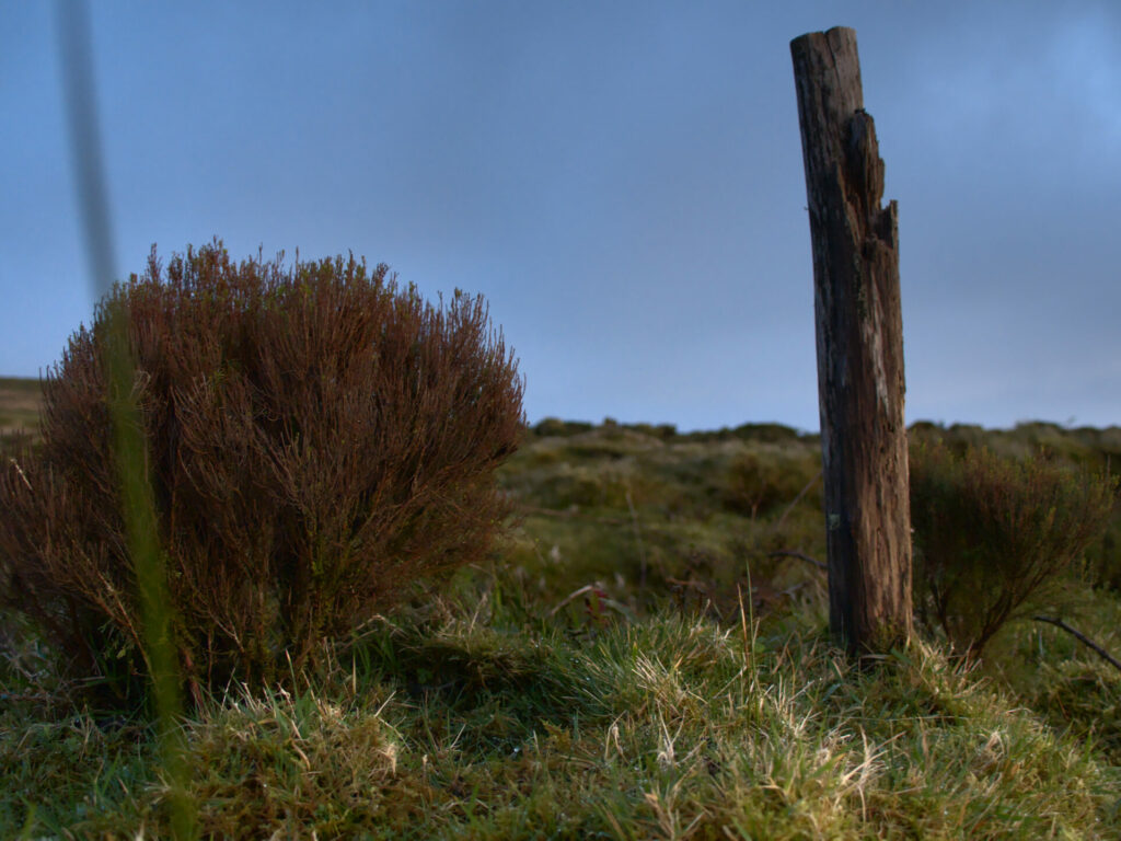 Ehemaliges Geländer beim Wanderweg zum Pico da Vara Ehemaliges Geländer beim Wanderweg zum Pico da Vara