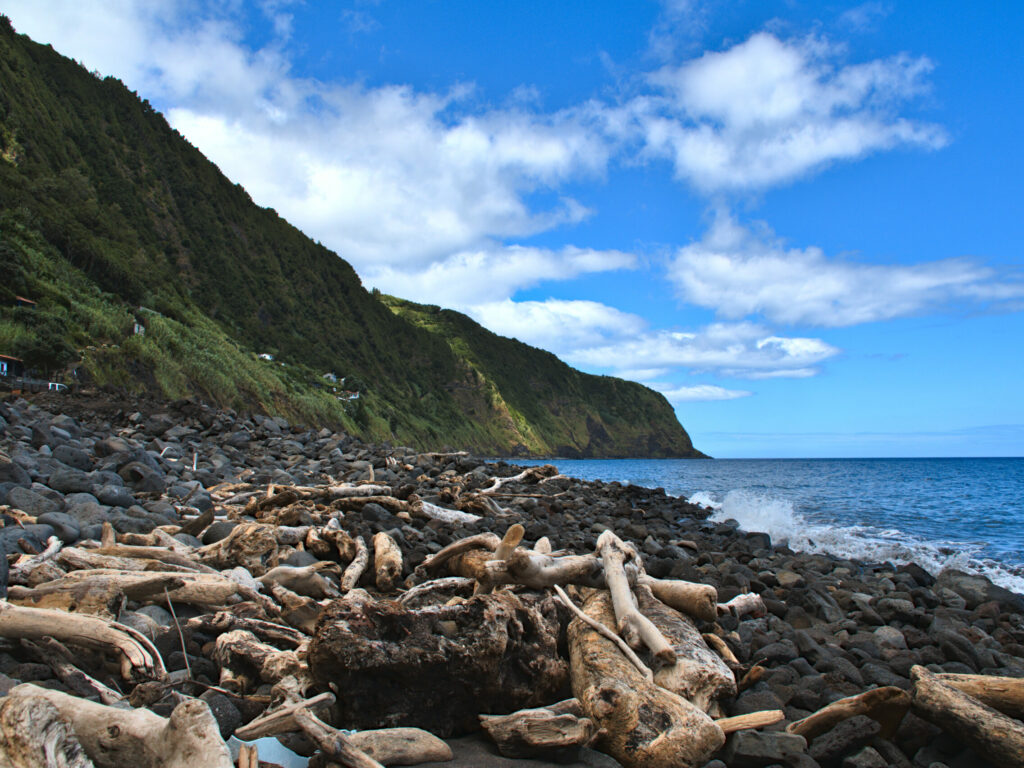 Madeira na Fajã do Araújo em direção à Pedreira Madeira na Fajã do Araújo em direção à Pedreira