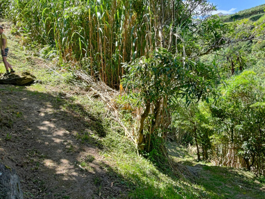 Climbing between valleys - Achadinha - Lomba D’El Rei - PRC38SMI Climbing between valleys - Achadinha - Lomba D’El Rei - PRC38SMI