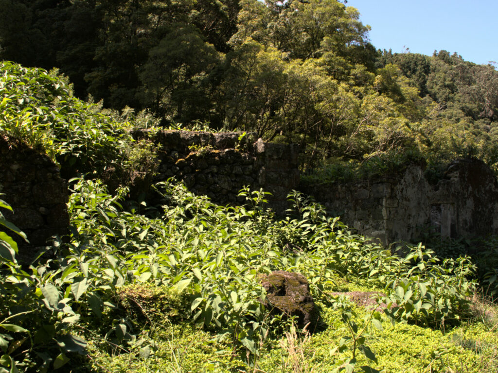 Ruins of the mill - Achadinha - Lomba D’El Rei - PRC38SMI Ruins of the mill - Achadinha - Lomba D’El Rei - PRC38SMI