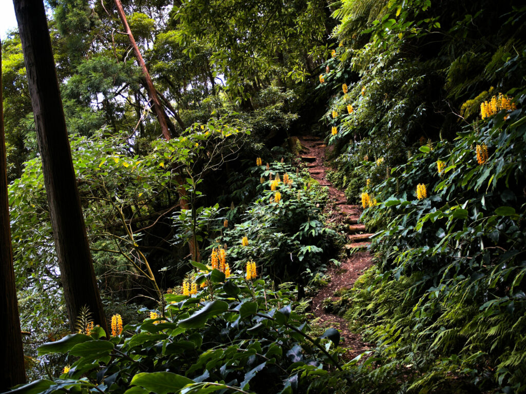Steilerer Abschnitt am Ufer des Lagoa Verde Steilerer Abschnitt am Ufer des Lagoa Verde