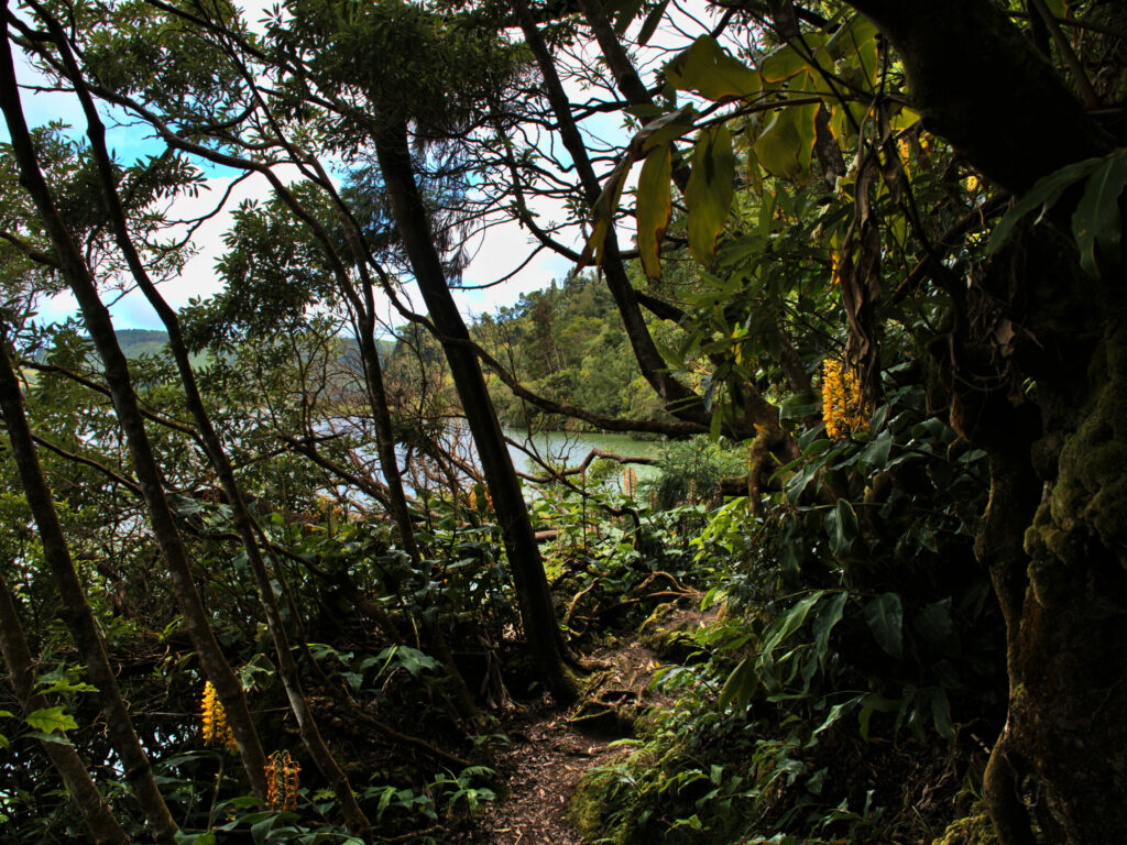 Wanderweg am Ufer des Lagoa Verde Wanderweg am Ufer des Lagoa Verde