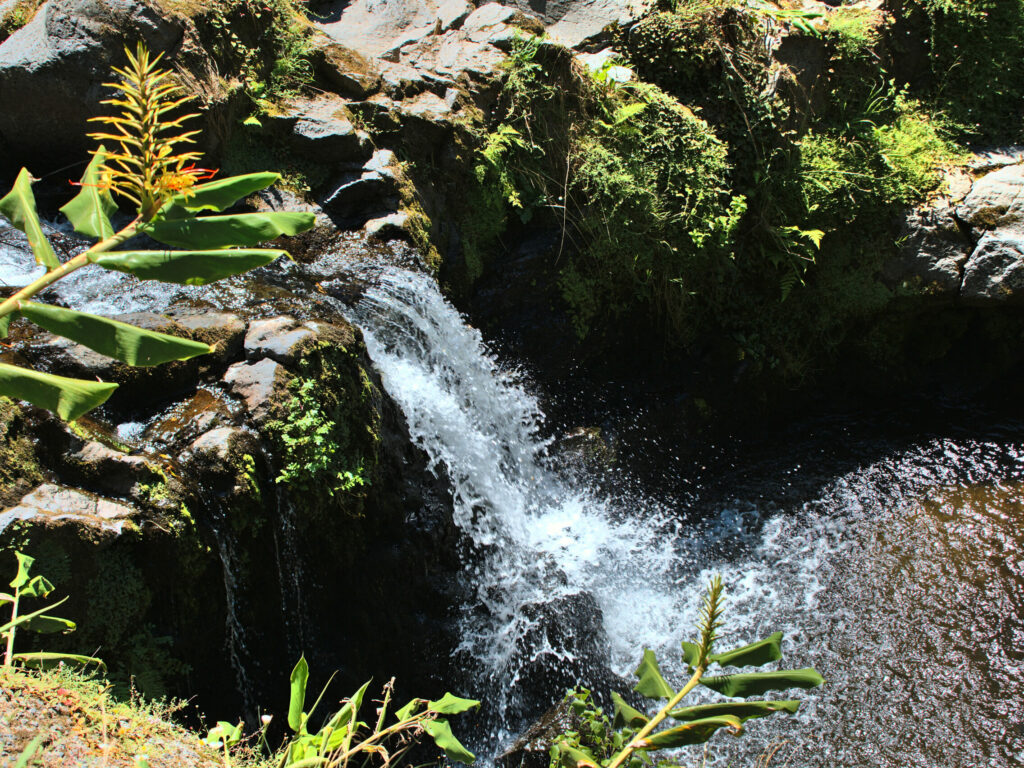 Waterfall at the confluence of the Ribeira do Lenho and the Ribeira dos Caldeirões - Achadinha - Lomba D’El Rei - PRC38SMI Waterfall at the confluence of the Ribeira do Lenho and the Ribeira dos Caldeirões - Achadinha - Lomba D’El Rei - PRC38SMI