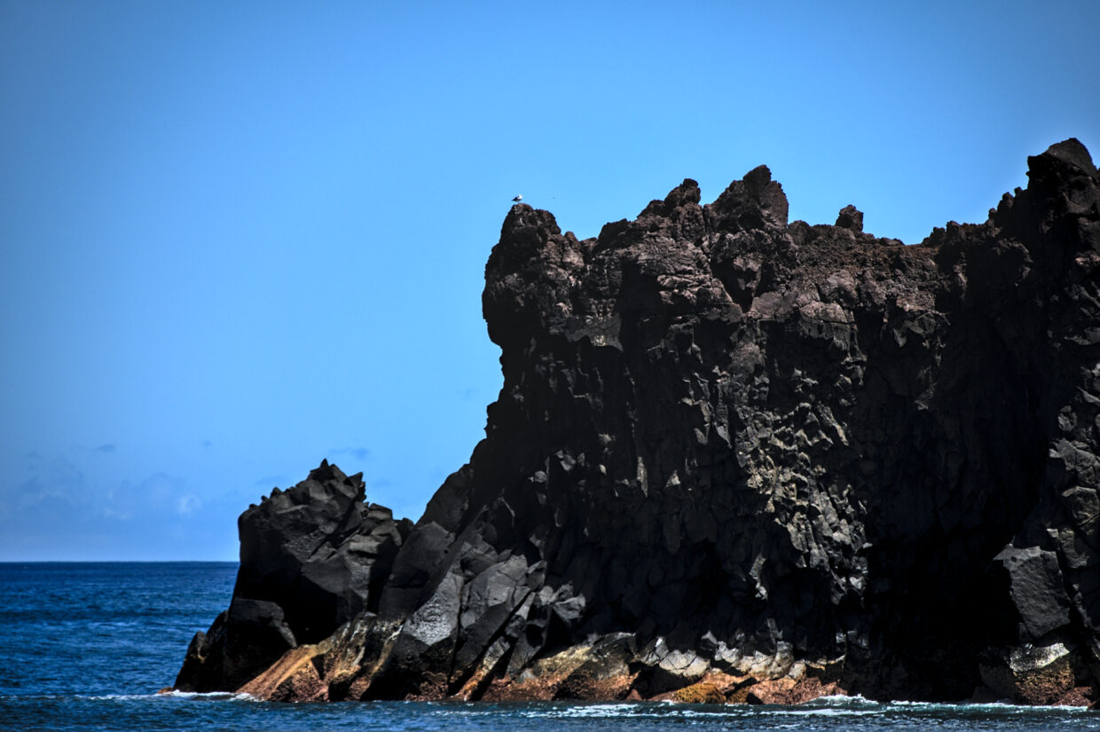 The rhinoceros fights against the forces of nature - Achadinha - Lomba D’El Rei - PRC38SMI